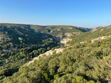 5....3....2sortie O&apos;livier.  😂😂😂