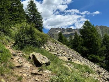 Saint-Étienne-de-Tinée - Mont Ténibre (3031m) ⛰