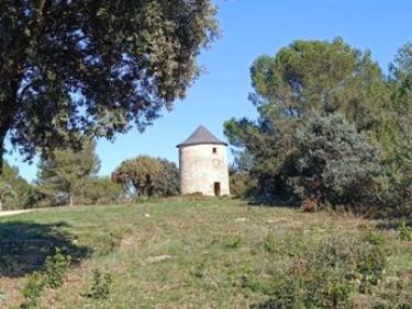 Balade du lundi férié avec le soleil ☀️