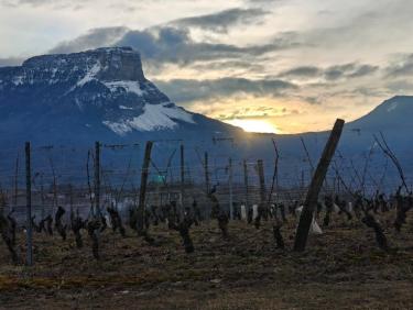 🇺🇦 Balade dans le quartier