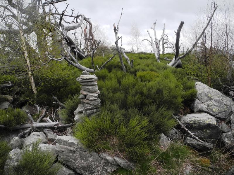 LE cairn