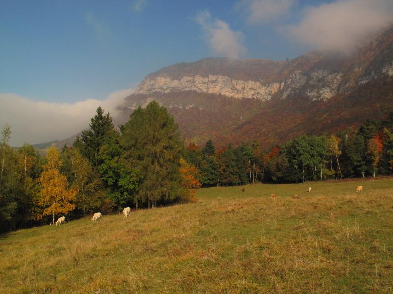 L'alpage de Montbasin