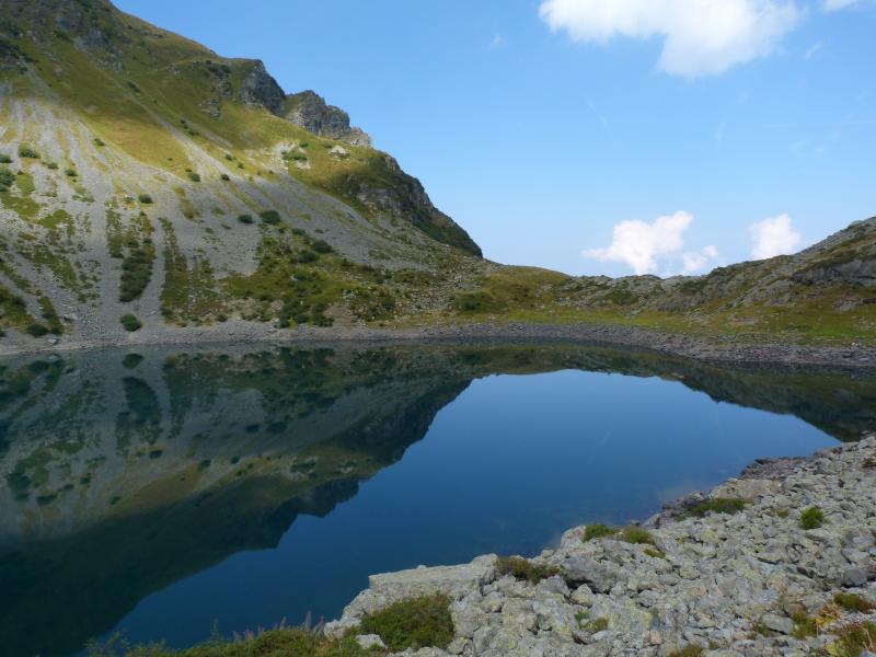 L'arche