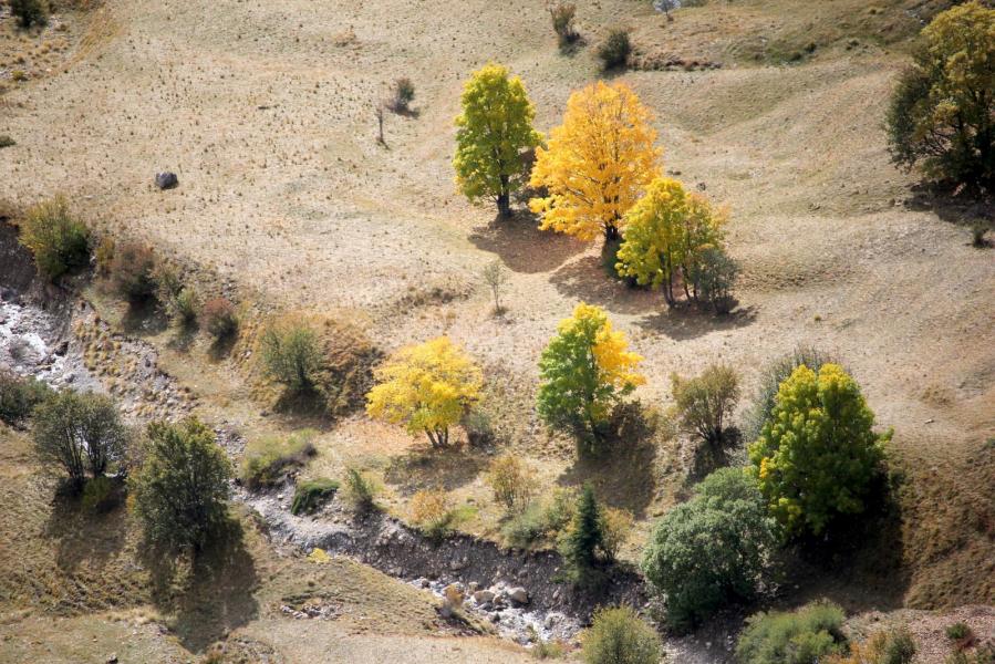 L'automne arrive 