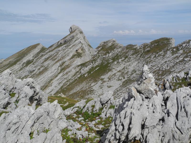 L'endroit du demi-tour