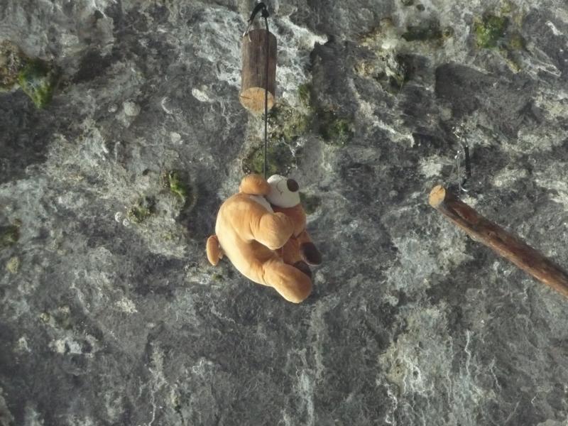 L'ours pendu... suréaliste !