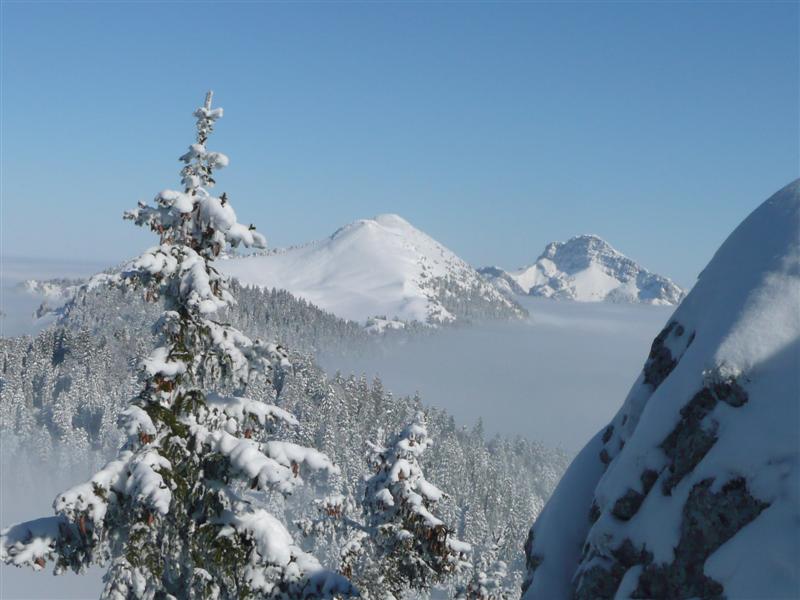La Chartreuse