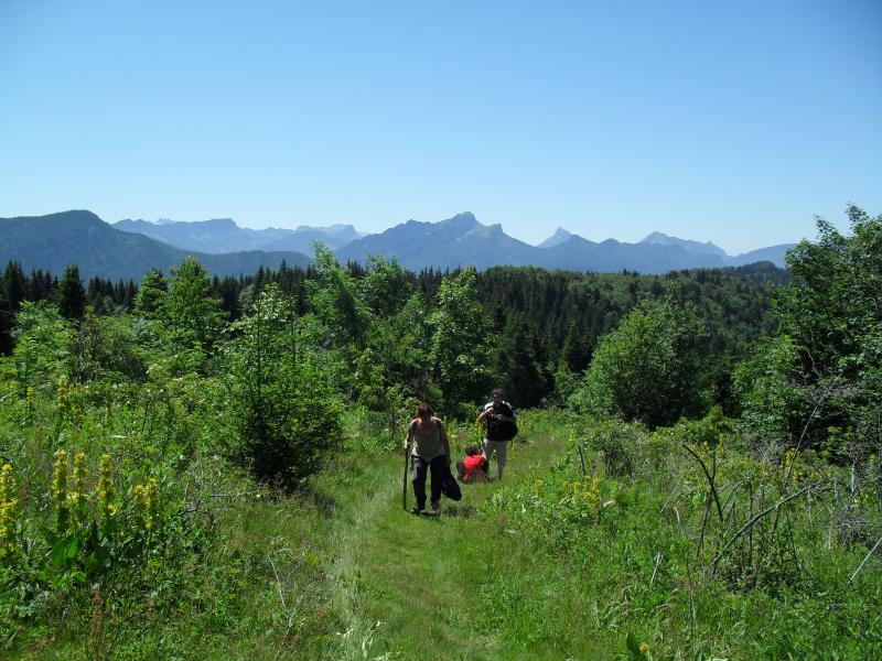 La Chartreuse sans brume?