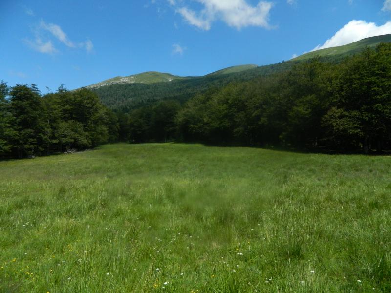 La Clairère de Malatra