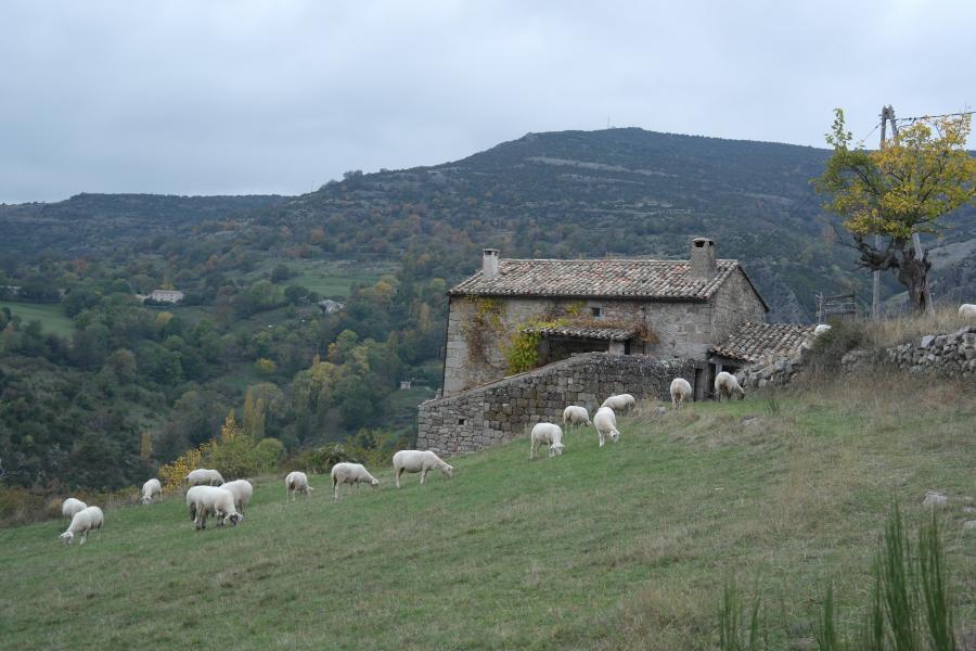 La Crotte