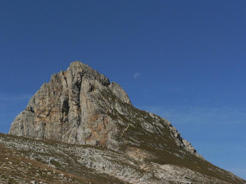 La Grande Moucherolle