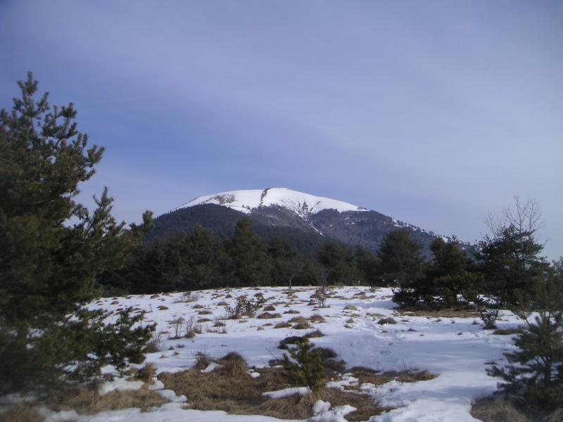 La Peyrouse