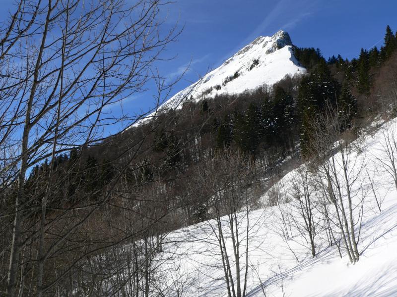 La Pinéa