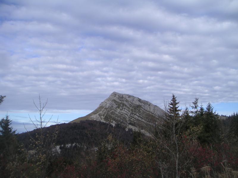 La Sure depuis Charminelle