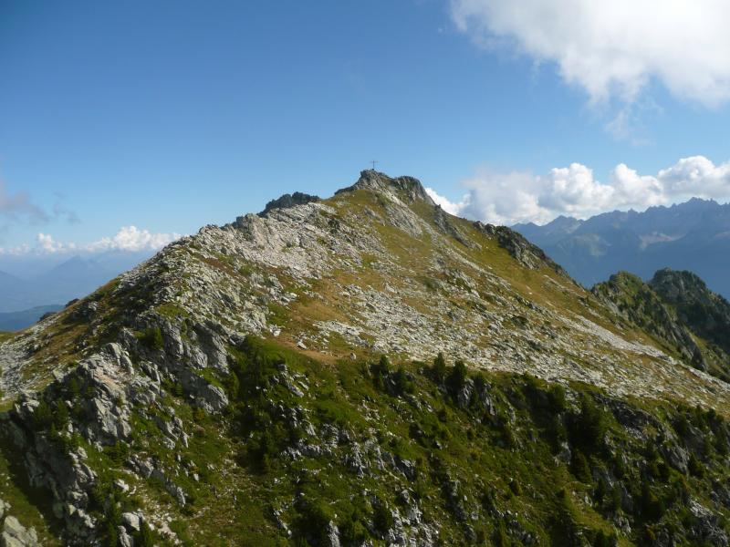 La belle pointe du Rognier
