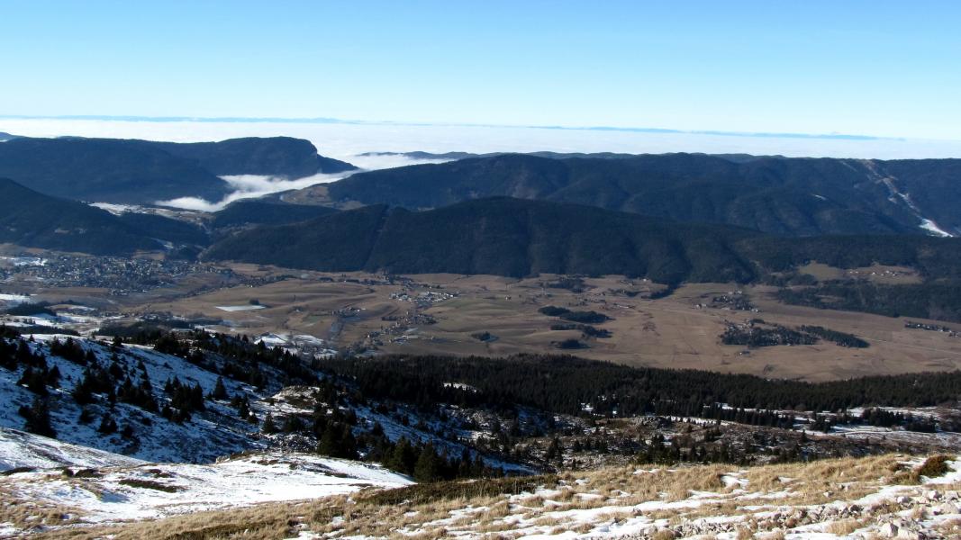 La brume monte à l'asaut du plateau