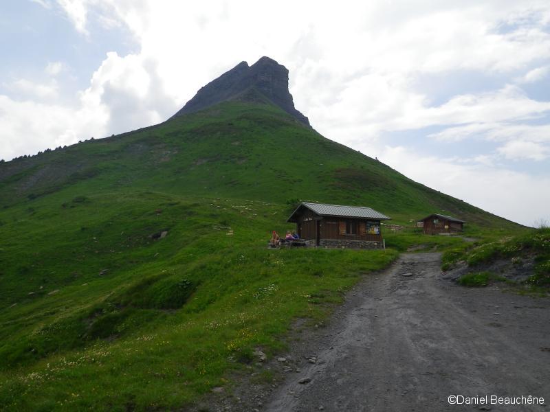 La cabane du petit pâtre