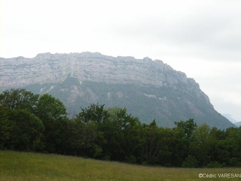 La face est du Néron