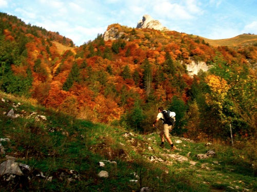 La forêt s'embrase
