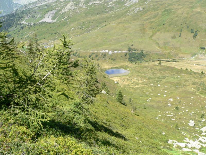 La gouille à proximité du refuge