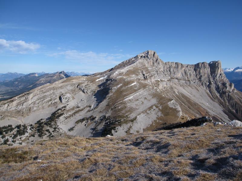 La grande Moucherolle