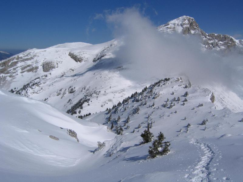 La grande Moucherolle