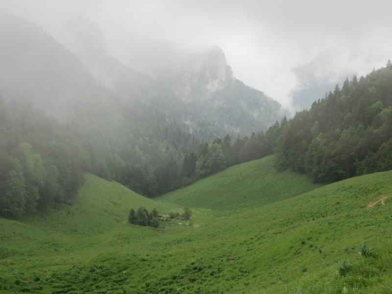 La meilleure vue