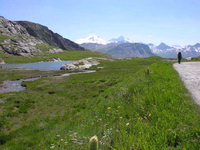 La piste