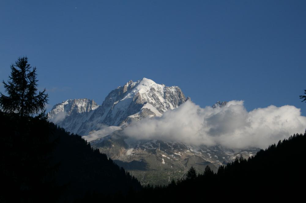 La verte