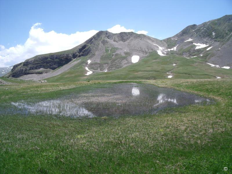 Lac
