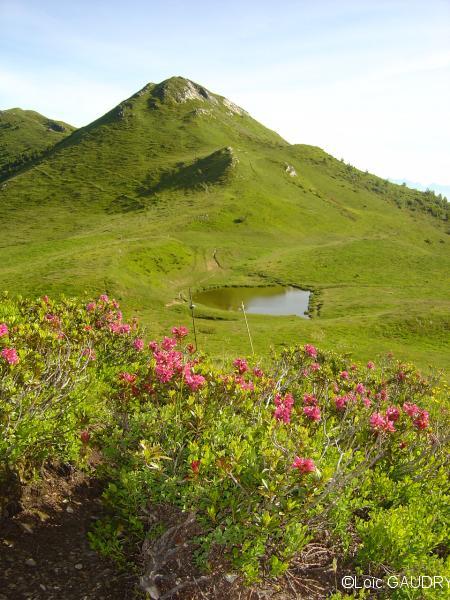 Lac des Grenouilles