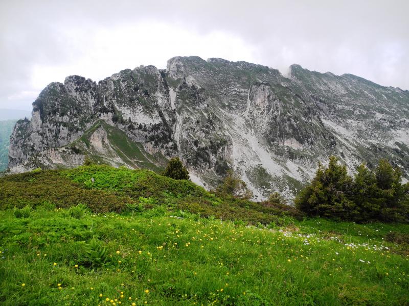 Lances Sud de Malissard