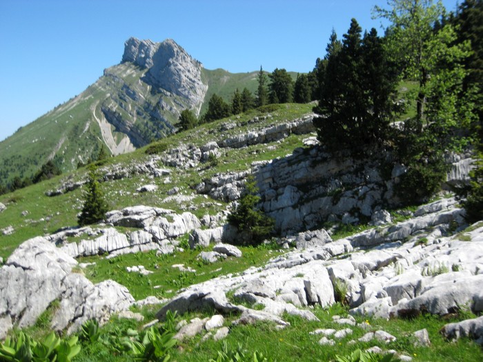Lances de Malissard