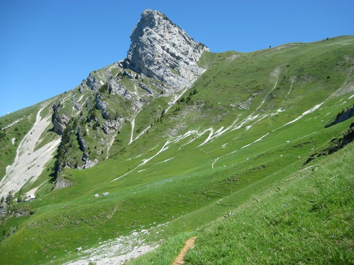 Lances de Malissard