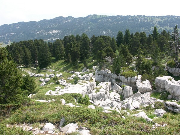 Lapiaz