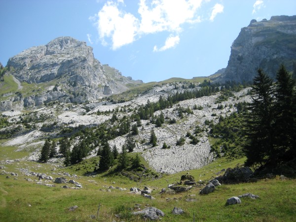 Lapiaz dans Grand Crêt