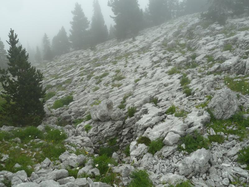 Lapiaz en allant côte 1683