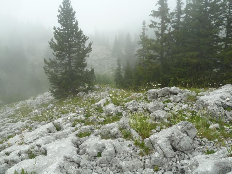 Lapiaz en allant côte 1683