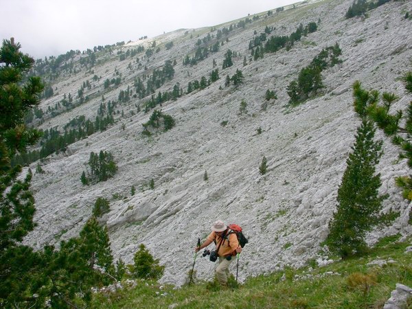 Lapiaz géant