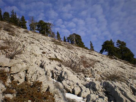 Lapiaz sous les Rochers de Chalves