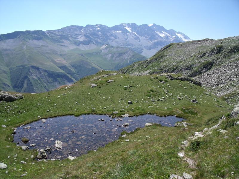 Laquet.