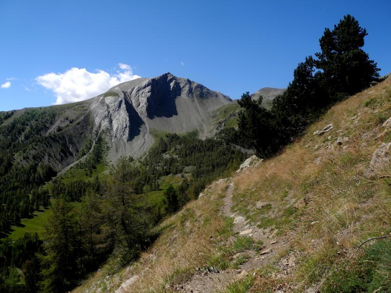 Le Caduc