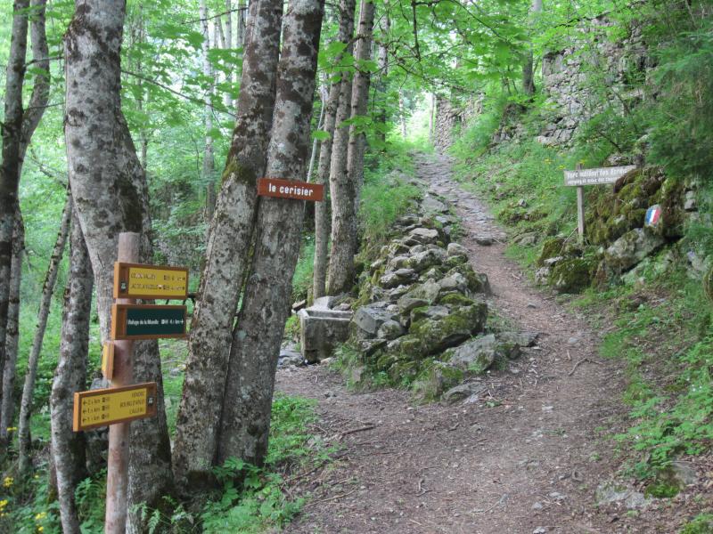 Le Cerisier