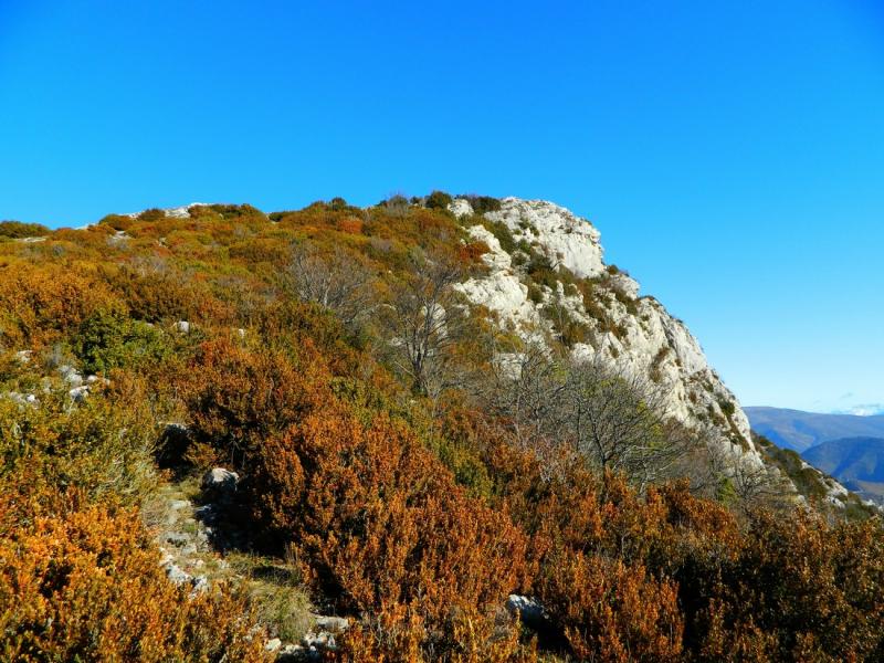 Le Cougoir