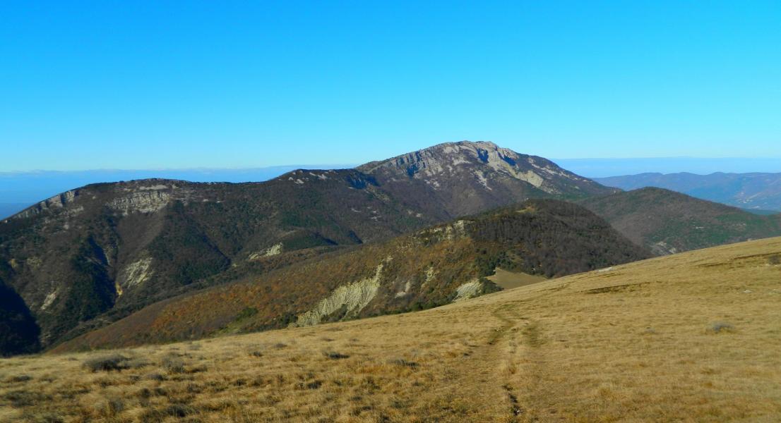 Le Cougoir