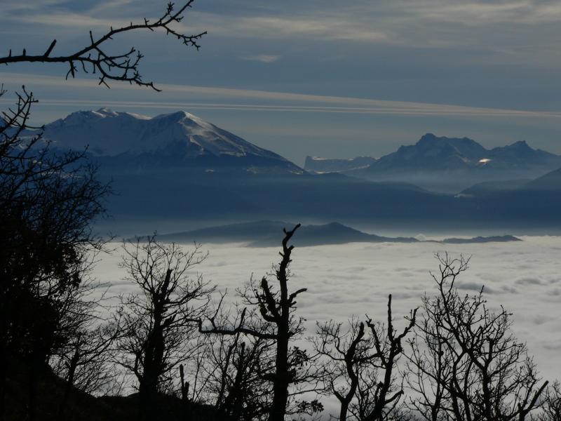 Le Dévoluy sur la mer de nuages