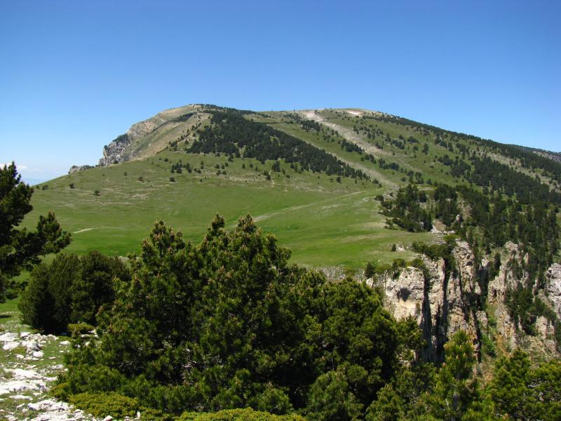 Le Dôme