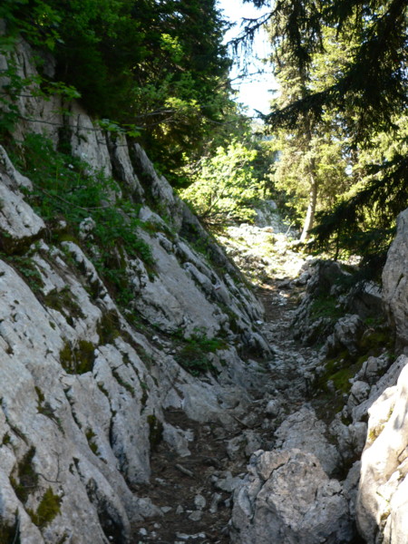 Le GR avant les alpages de Bellefond