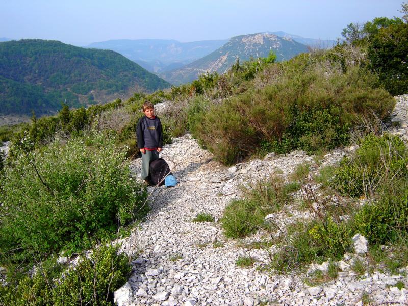 Le Merlu