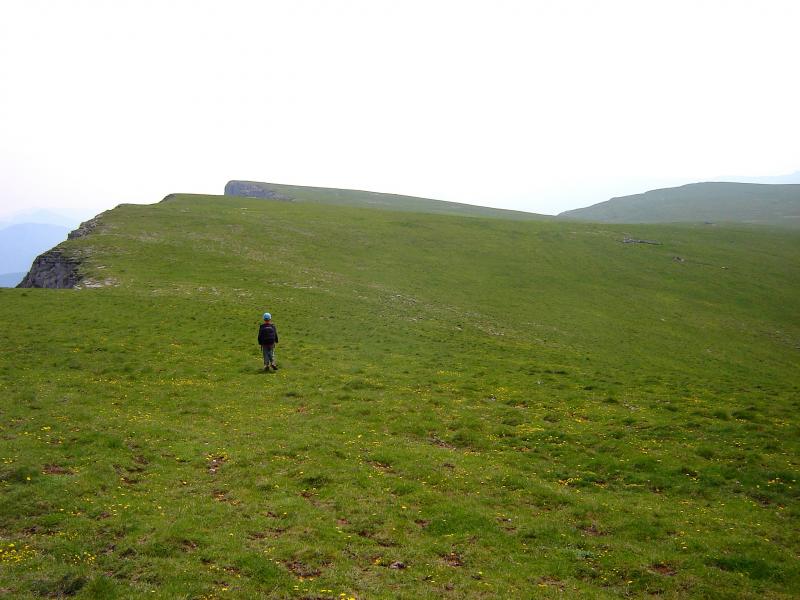 Le Merlu